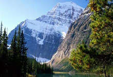 苟仲文被判死缓：政坛风云人物的人生转折